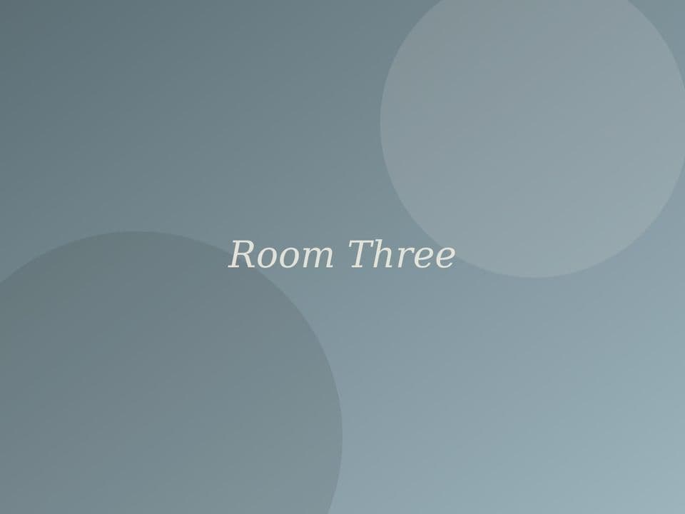 Kamer 3