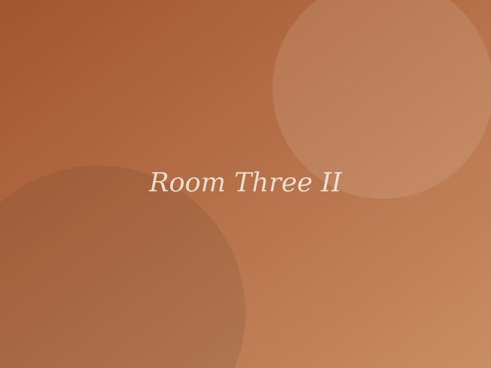 Kamer 3 — detail